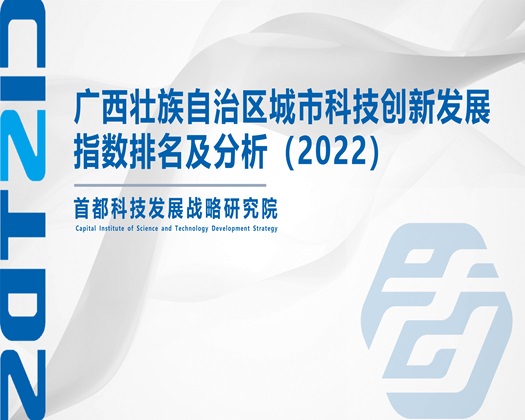 黄色bb片【成果发布】广西壮族自治区城市科技创新发展指数排名及分析（2022）